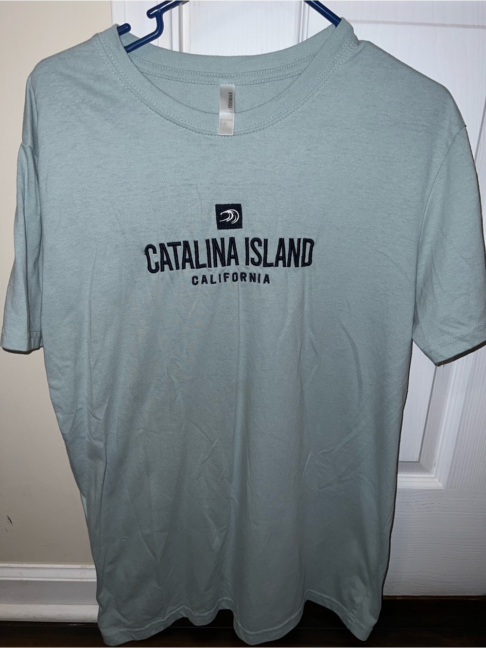 Catalina Island California Light Green Graphic Tee